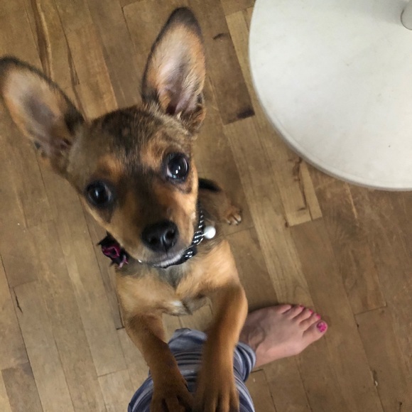 DJ - Picture 5 of 16